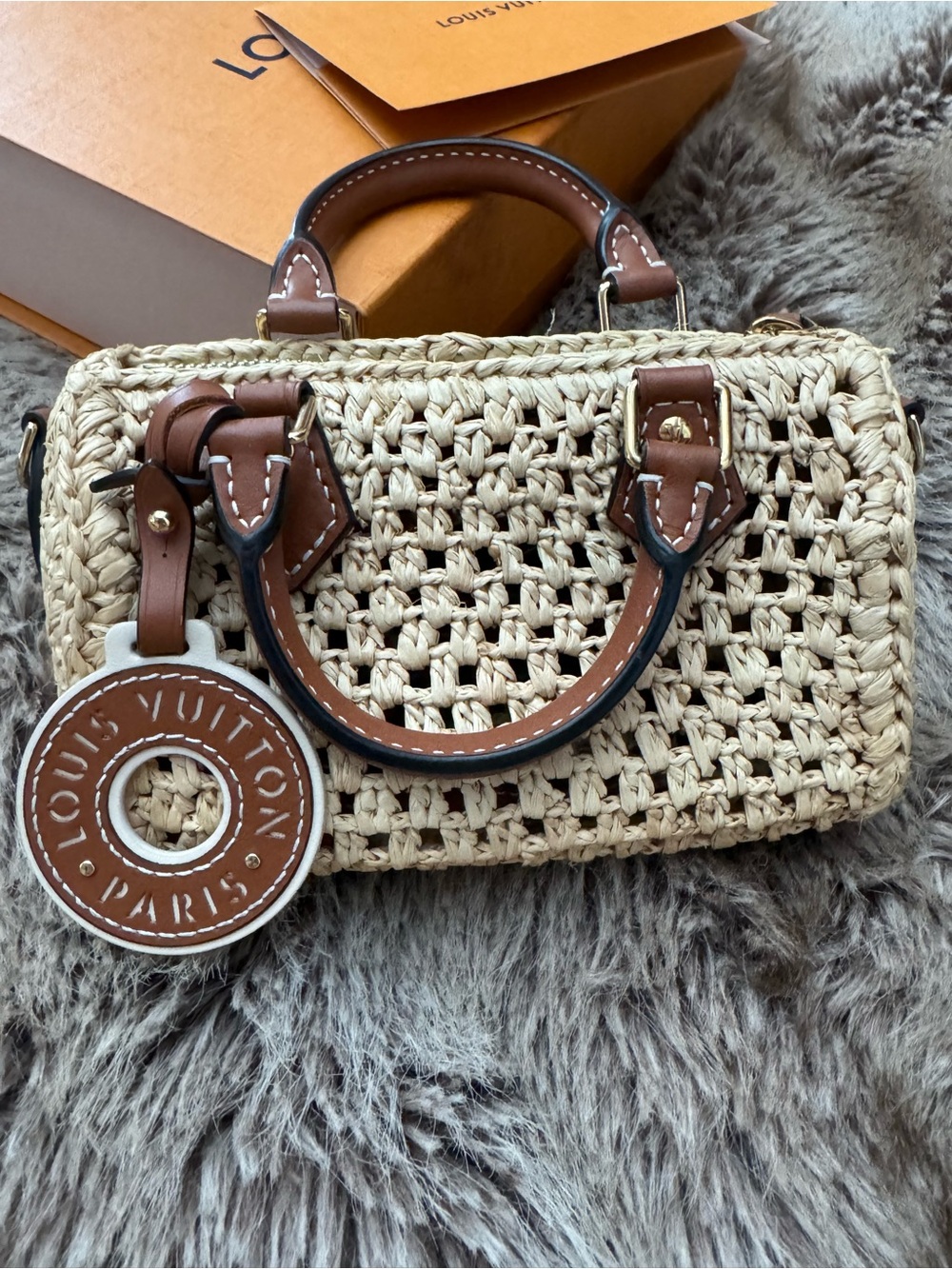 Louis Vuitton Speedy Nano Raffia Leather Bag